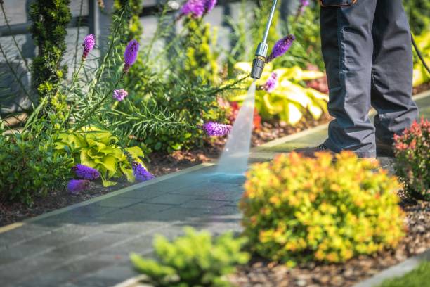 Best Patio and Deck Pressure Washing  in Orange Blossom, CA